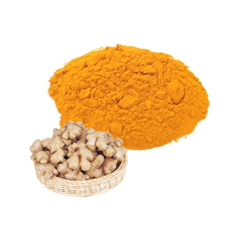 Factory Supply Curcuma Longa Turmeric Powder Superfood Turmeric Extract 10: 1