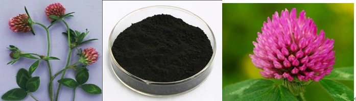 Red Clover Extract Trifolium Pretense L. with 8% Isoflavones