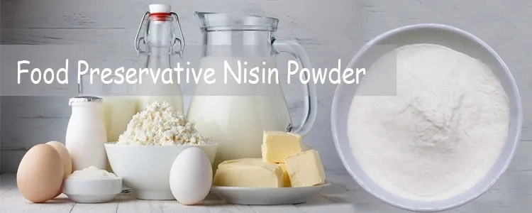 Wholesale Price Bulk Food Grade Natural Food Preservative Nisin Powder E234 Food Preservatives