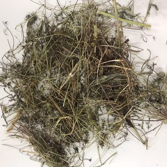 E. K Herb Fabbrica di estratti vegetali certificati Kosher e Halal.  Integratore alimentare naturale al 100%, altamente purificato, estratto di carciofo, fitoterapia, carciofo biologico